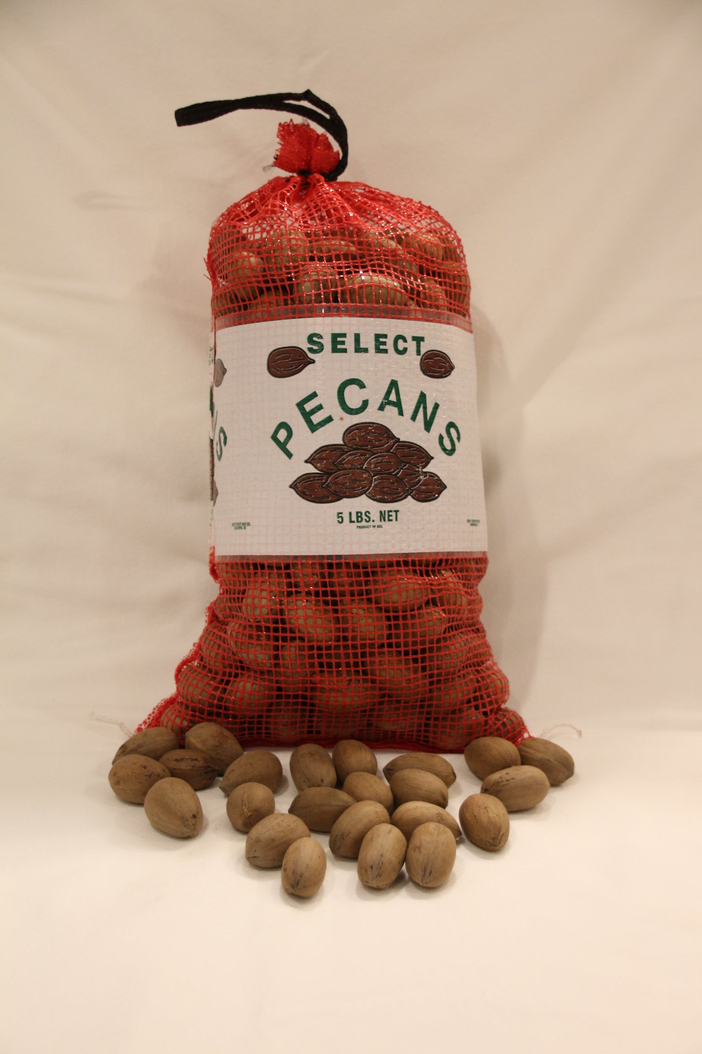 In Shell Pawnee Pecans – 3, 5, 15, & 25 lbs