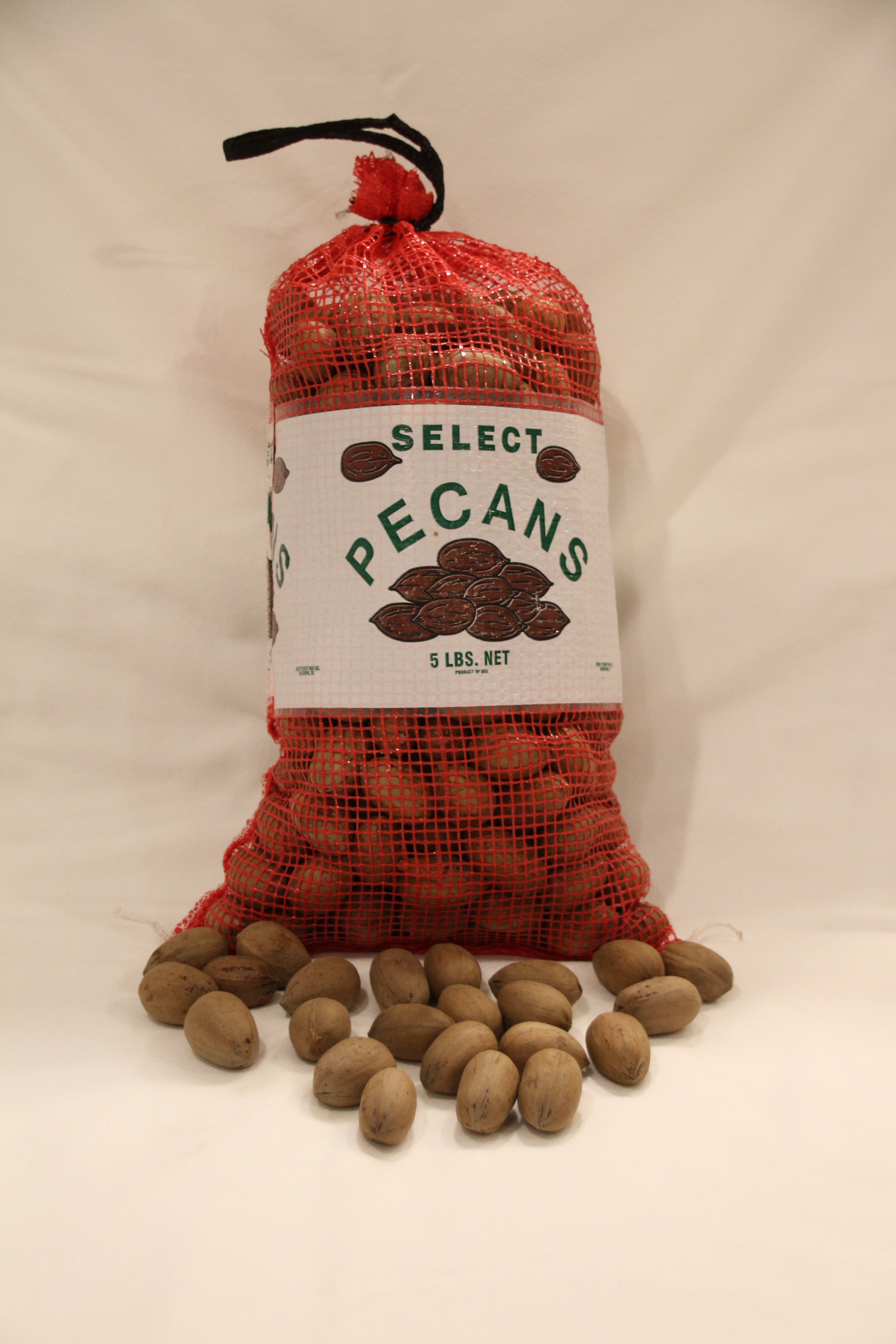 In Shell Schley “Paper Shell” Pecans – 3, 5, 15, 25 lbs – Southern ...