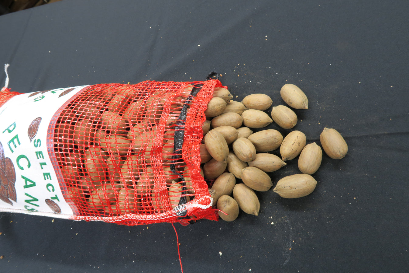 In Shell Pawnee Pecans 3, 5, 15, & 25 lbs Southern Pecan Products